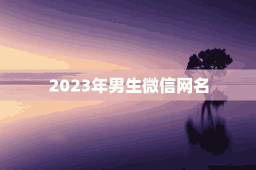 2023年男生微信网名